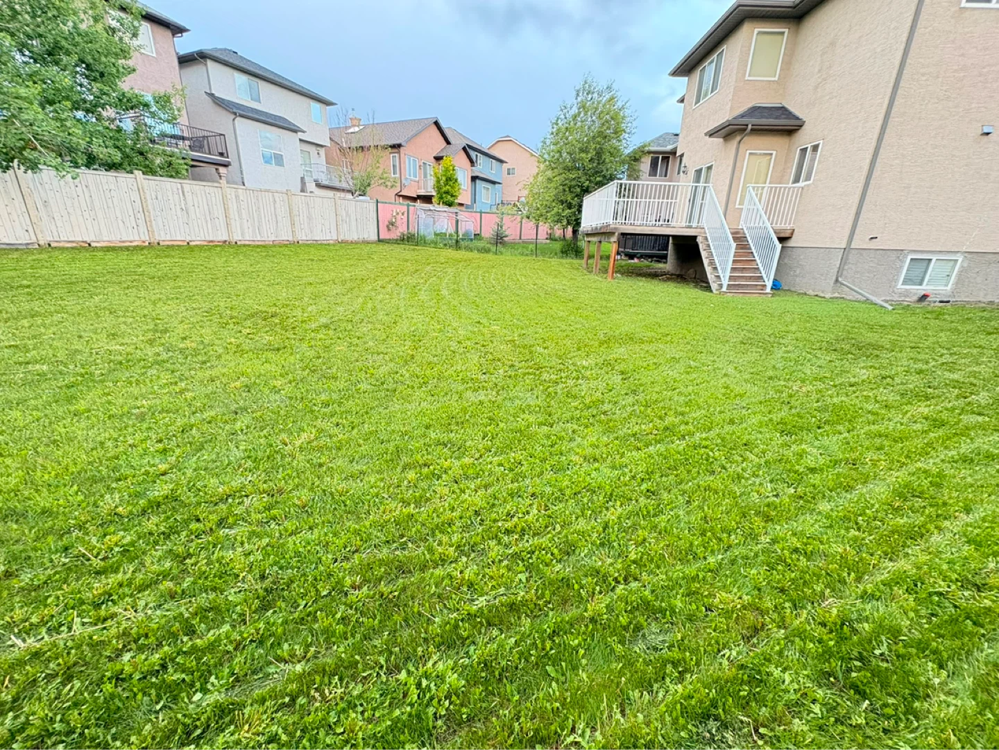 Lawn mow on sale