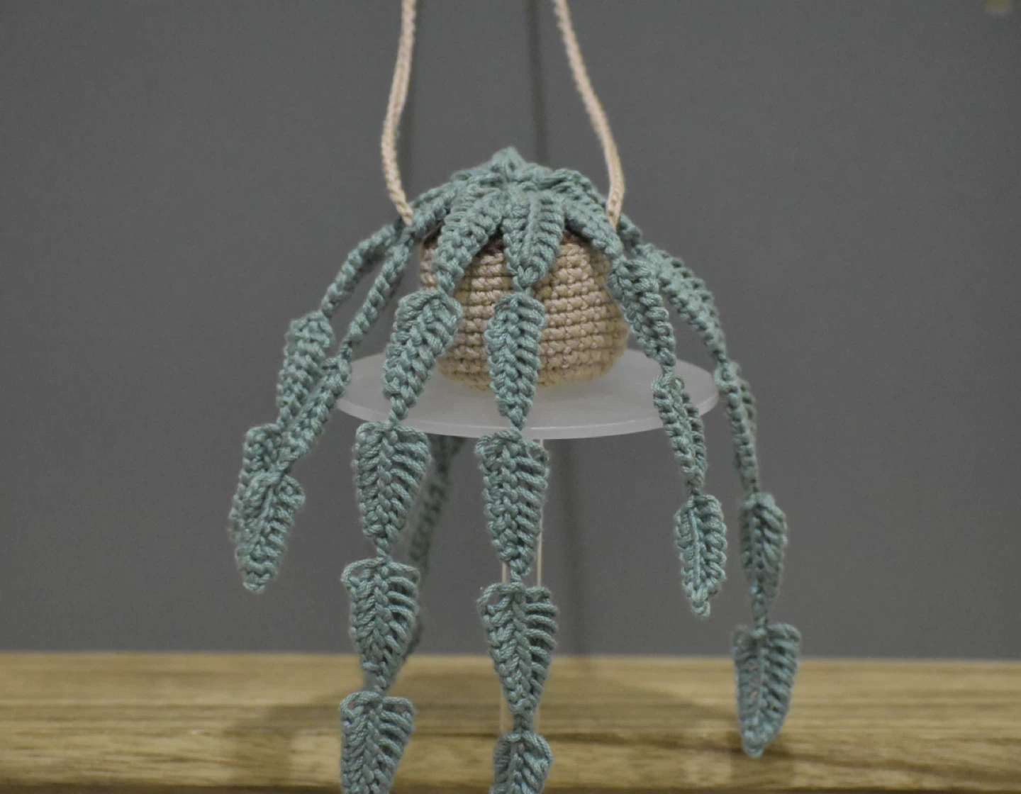 Crocheted Hanging Plant