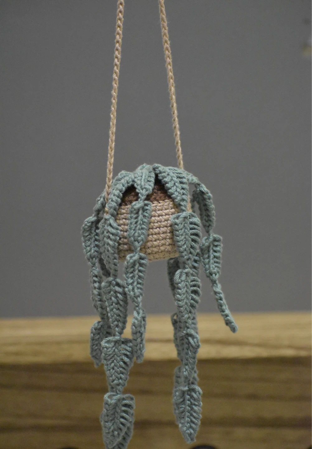 Crocheted Hanging Plant - photo 2