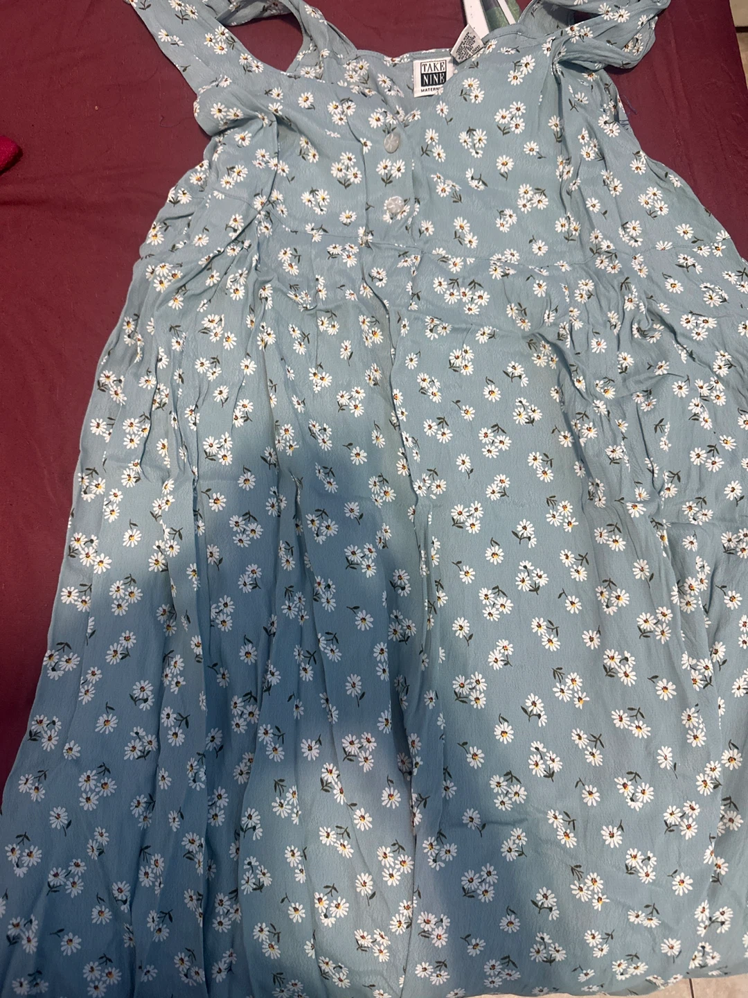 Take Nine Maternity Dress