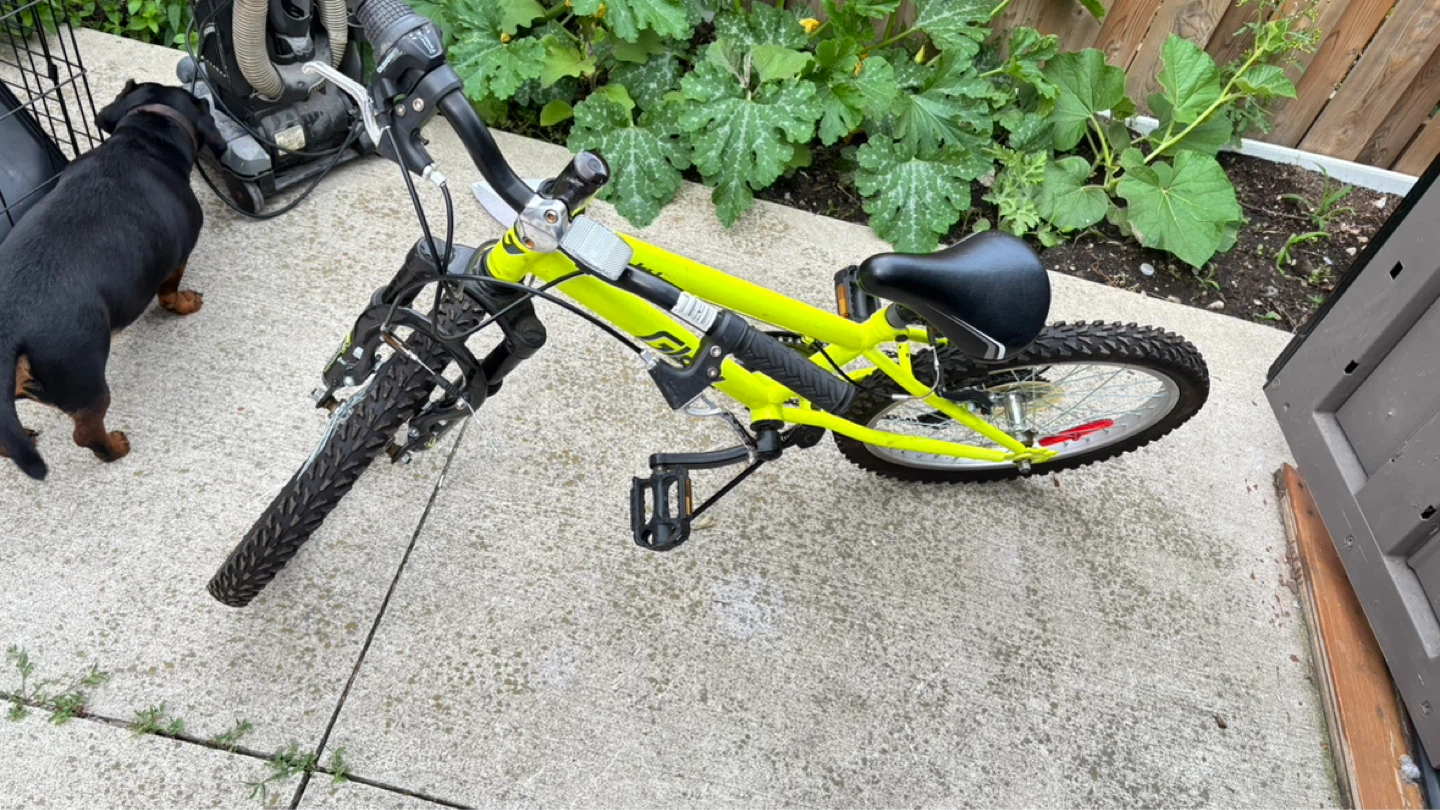 Glow 20" Kids Bike - photo 4