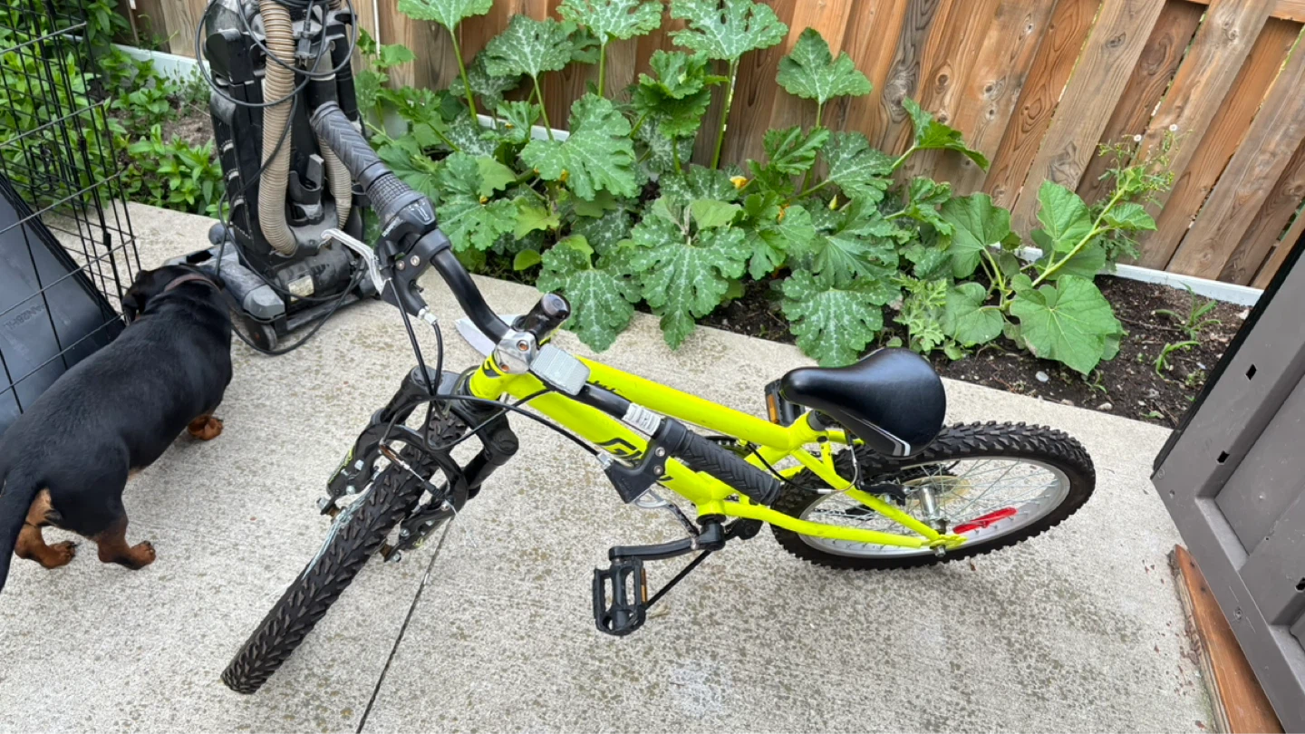 Glow 20" Kids Bike - photo 3
