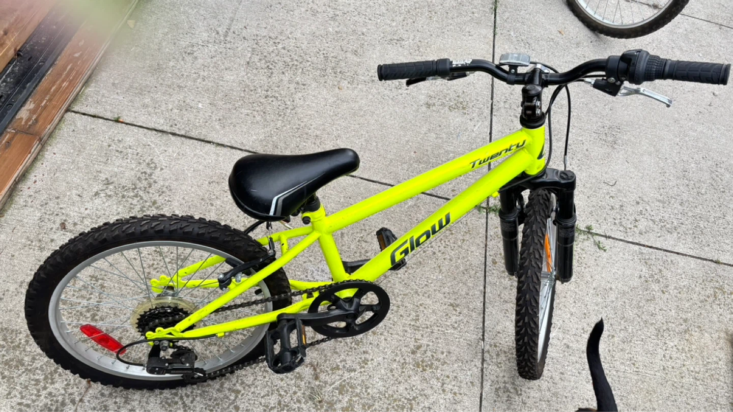 Glow 20" Kids Bike - photo 2