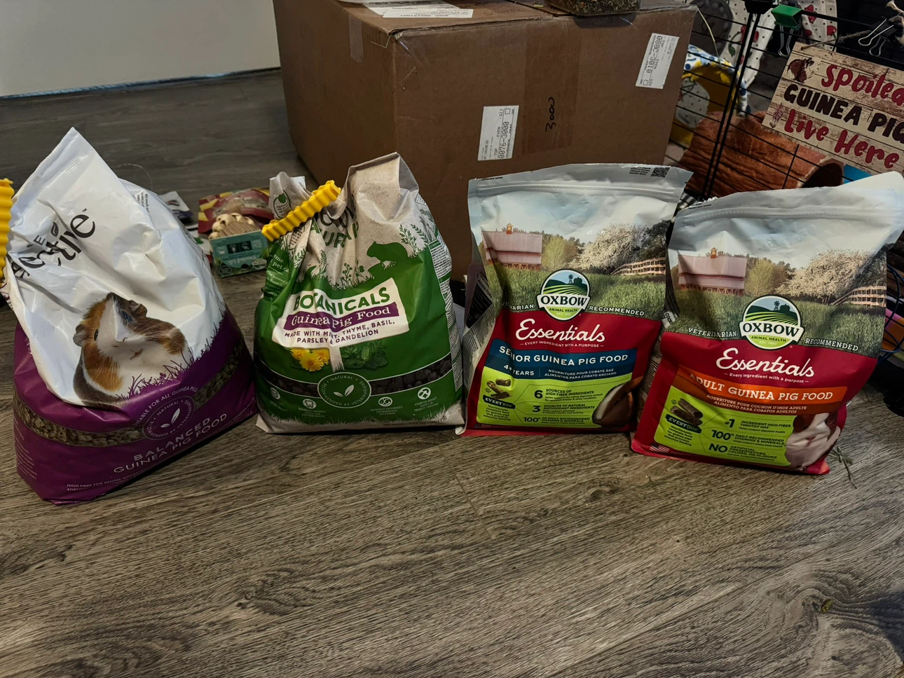 Guinea Pig Food and Accessories Bundle - photo 2