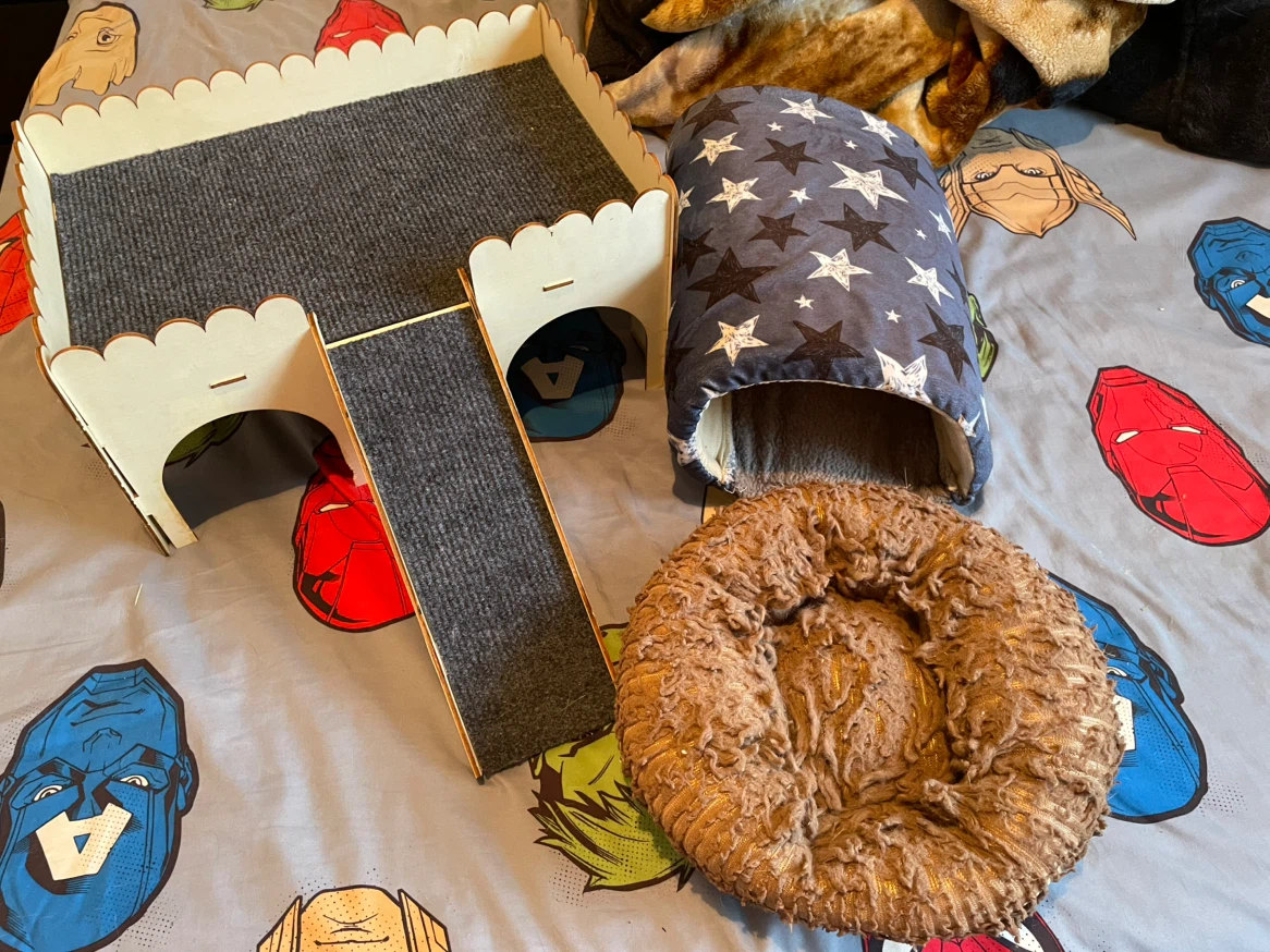 Guinea Pig Hides & Bed Lot