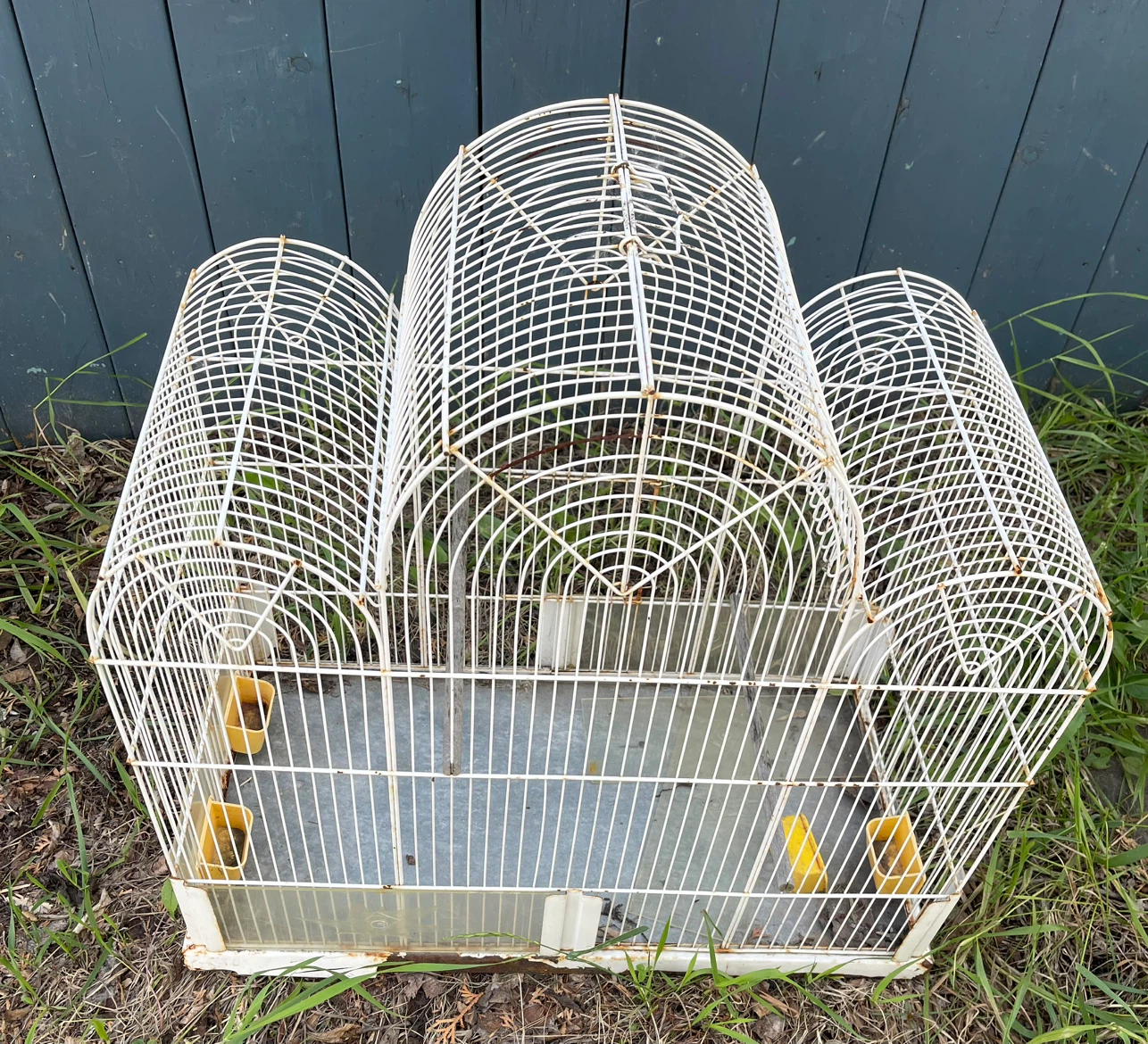 White Metal Bird Cage with 3 Domes