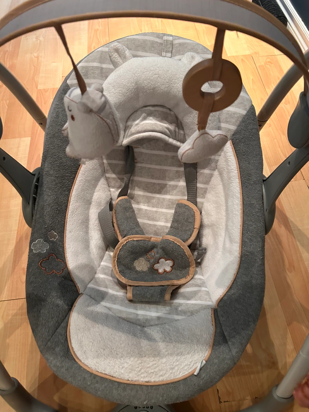 Ingenuity Baby Swing - photo 3