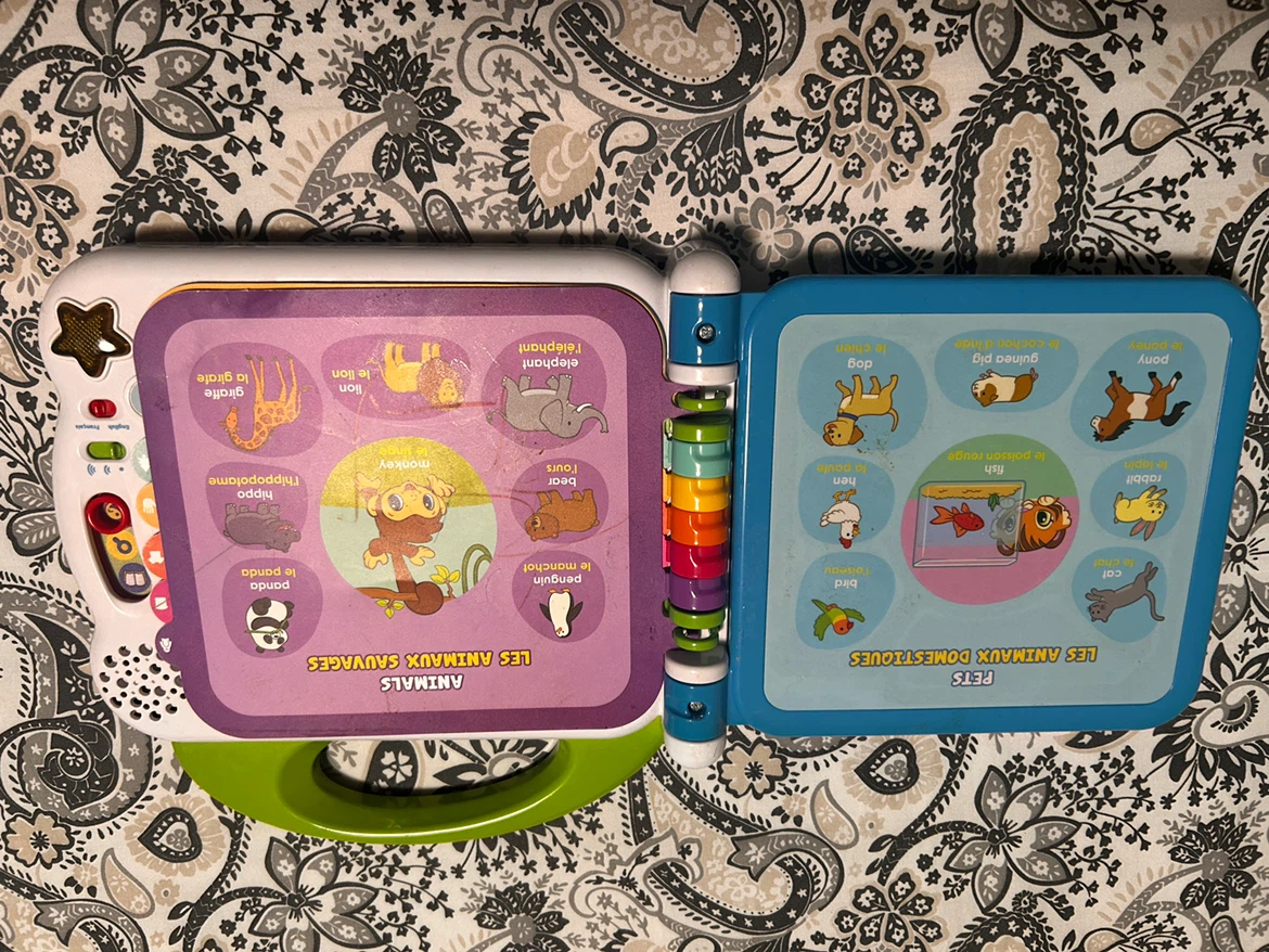 Leap Frog Learning Friends Mes 100 Premiers Mots Book