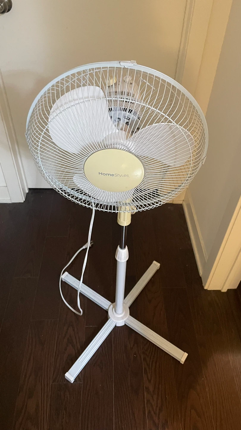 Fan - standing and oscillate