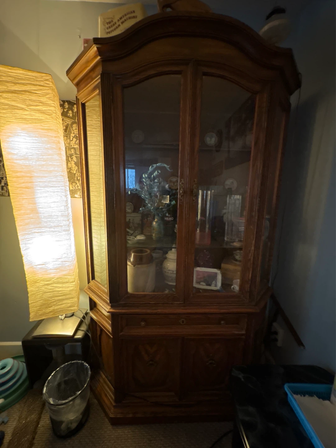 Wooden Curio Cabinet with Glass Doors
