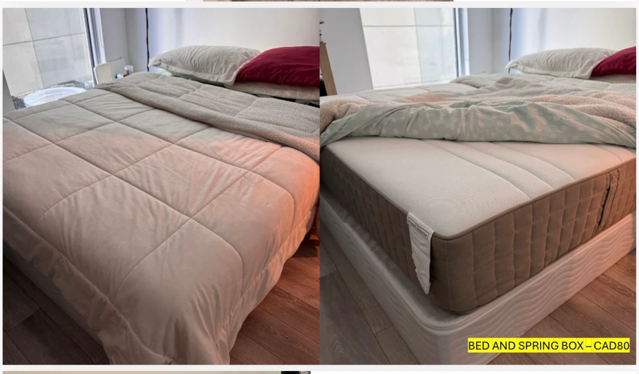 Bed and a spring box