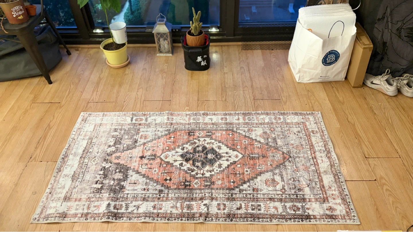 Persian Style Area Rug