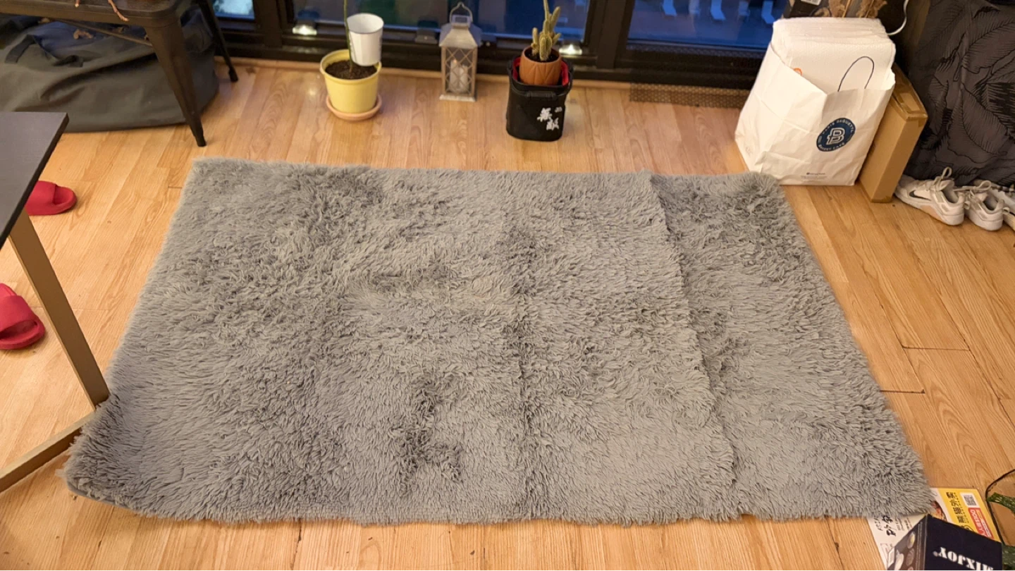 Plush Shaggy Rug