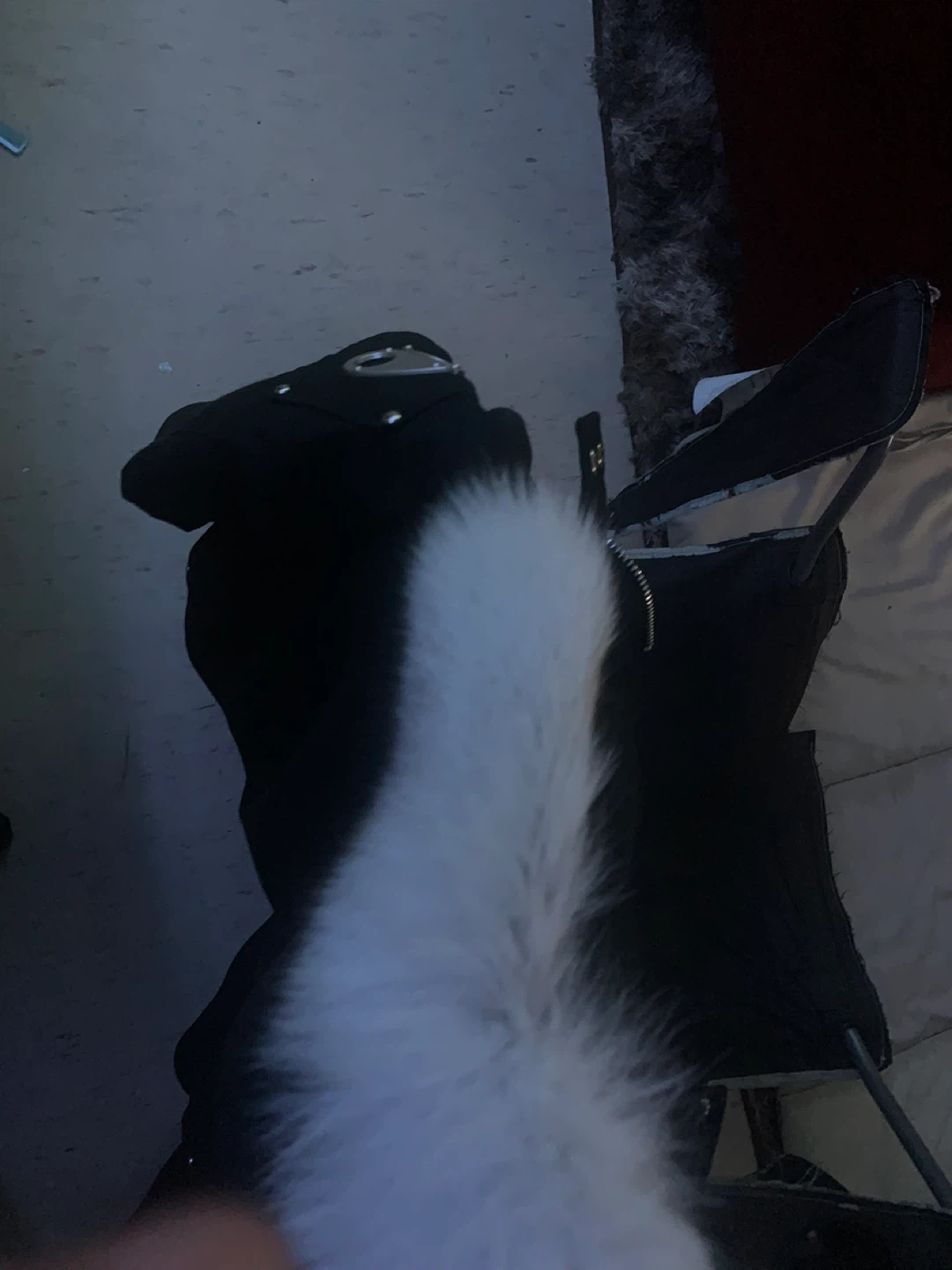 Moose Knuckles Black Parka with White Fur Hood - photo 2