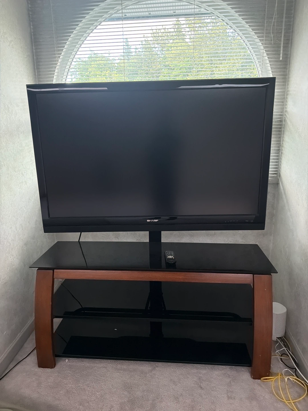Sharp TV and Media Stand