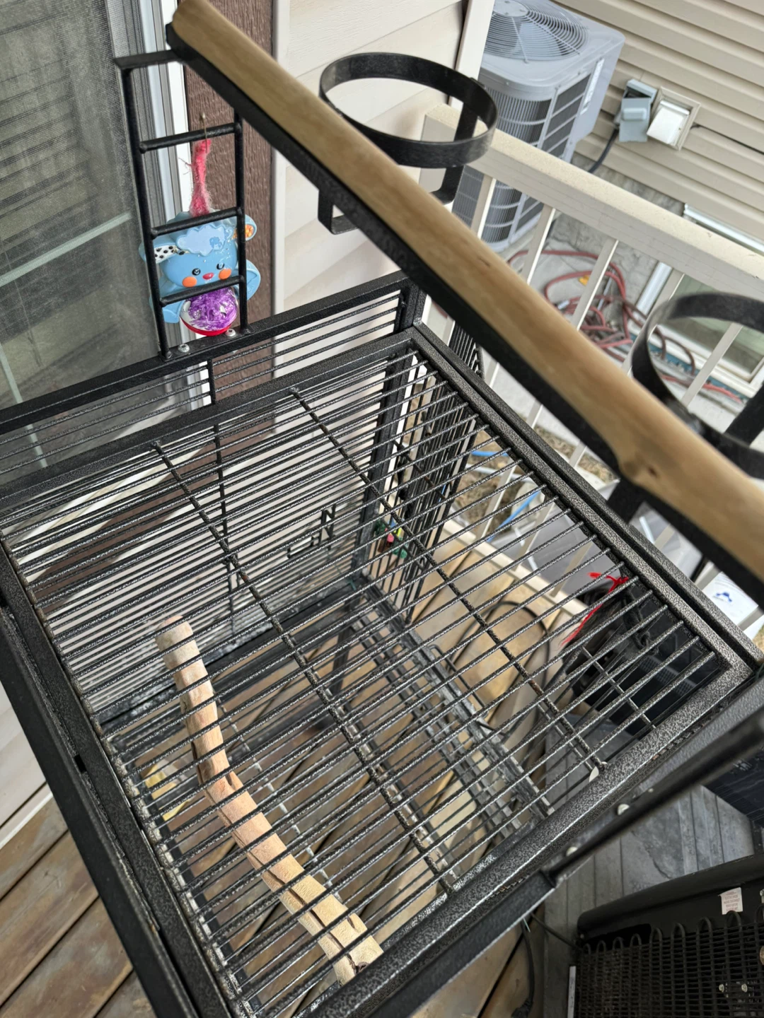 Bird Cage - photo 5