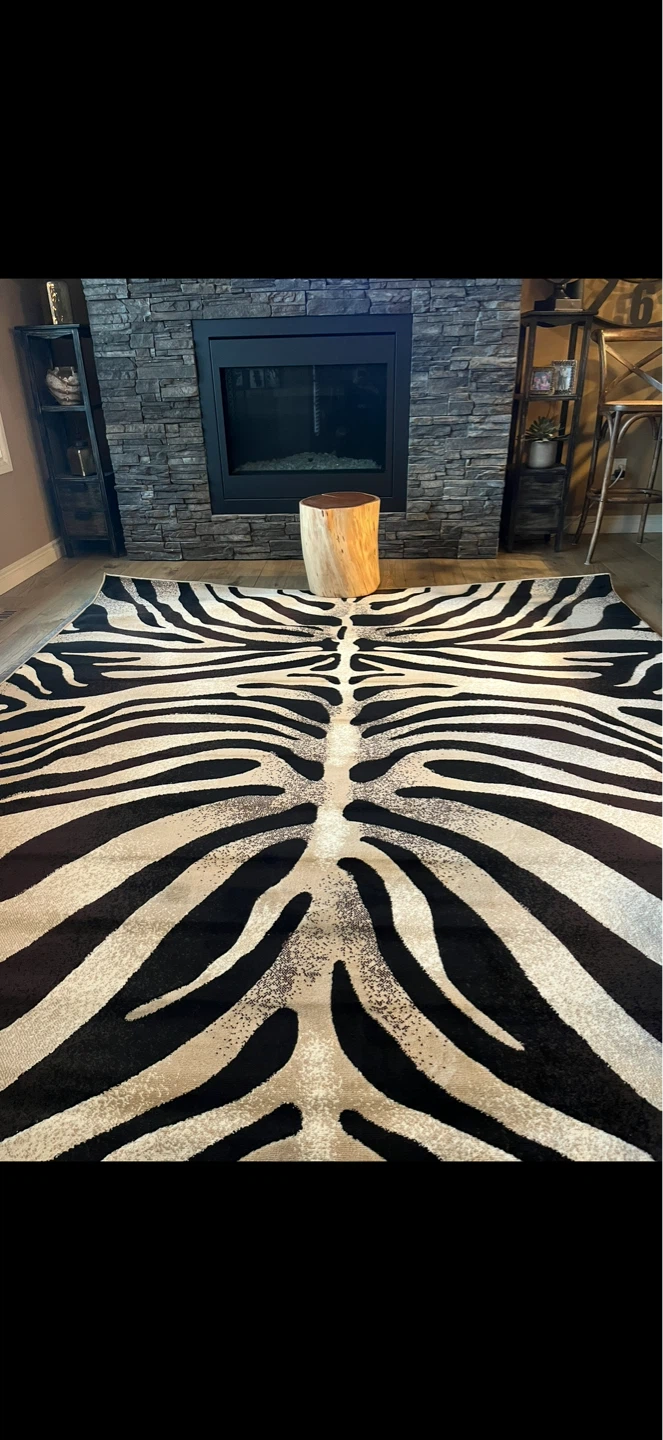 LIKE NEW! Only $250 8x10 Zebra Print Area Rug - photo 4