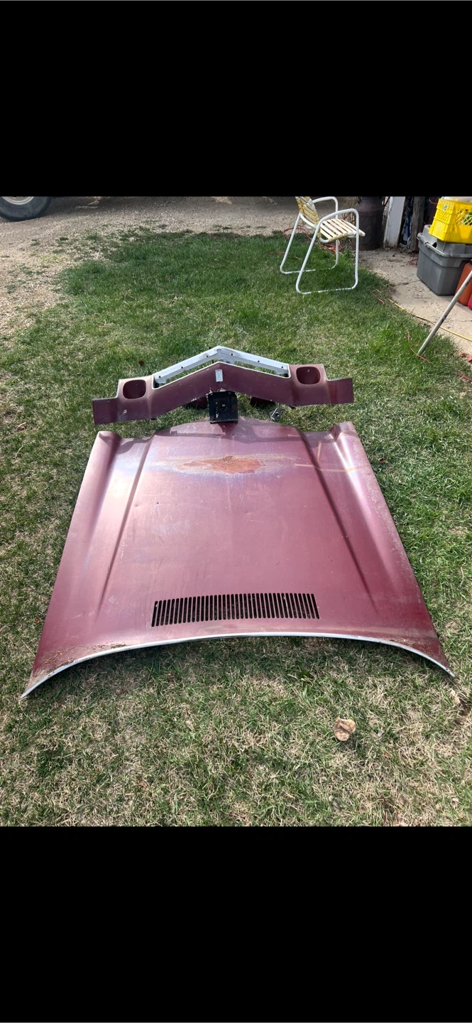 1979-1981 Pontiac Firebird Trans Am Parts - photo 4