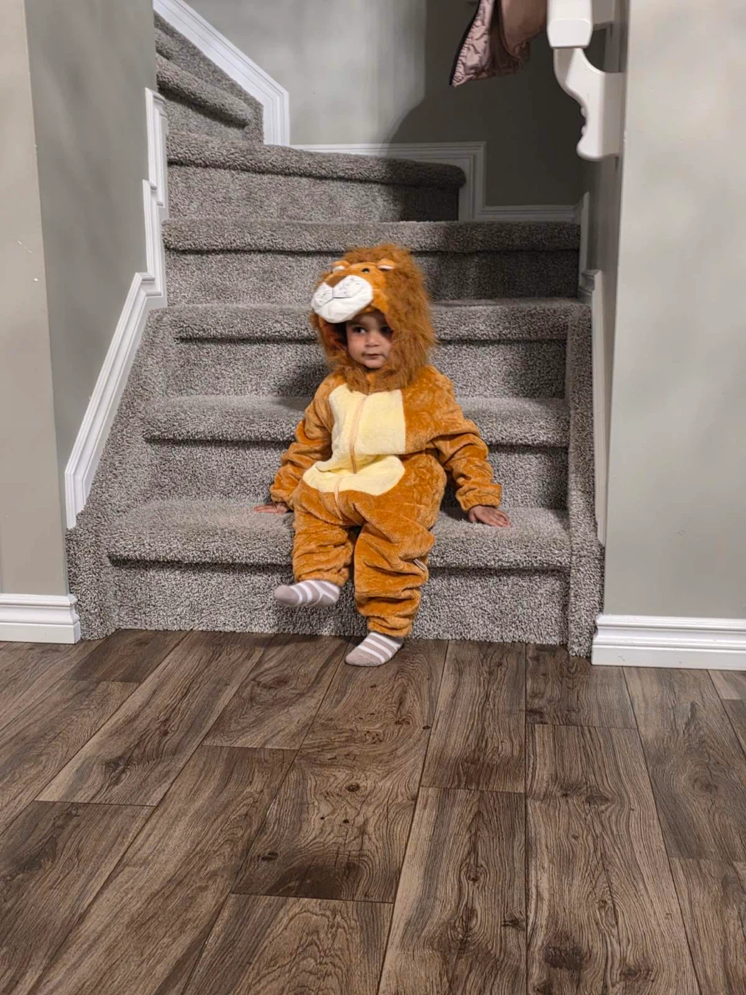 Toddler Lion Costume