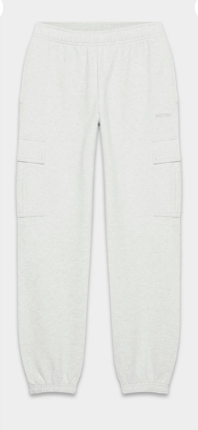 ARITZIA Grey Cargo Sweatpants - photo 3