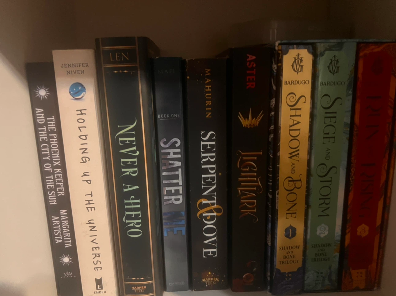 Collection of Young Adult Fantasy Books