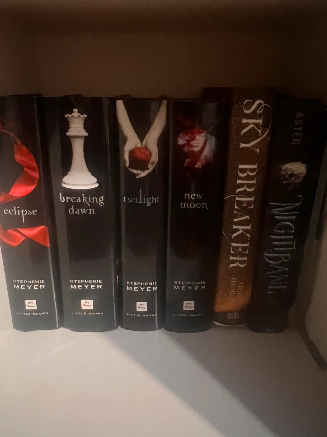 Collection of Young Adult Fantasy Books - photo 2