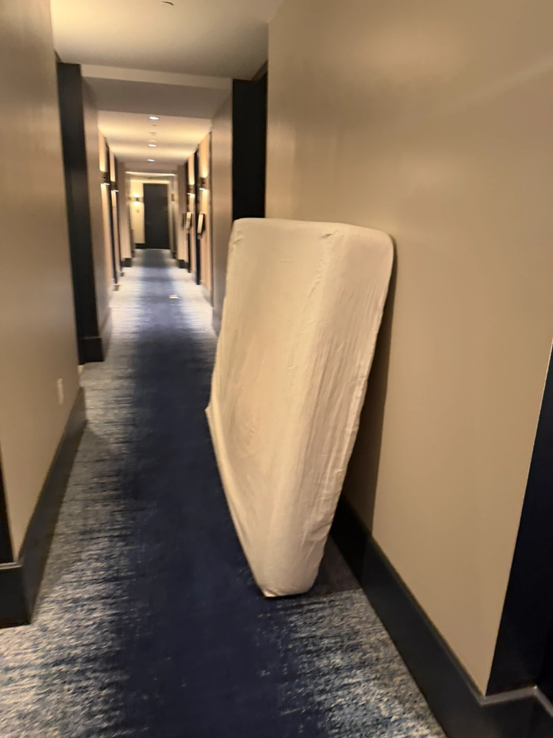 FREE Mattress with Pillow - pick up now ( ~7am) - photo 3