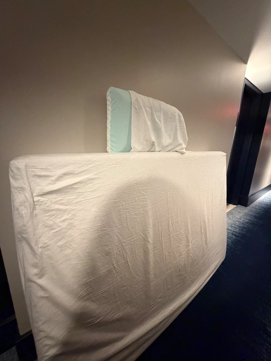 FREE Mattress with Pillow - pick up now ( ~7am)