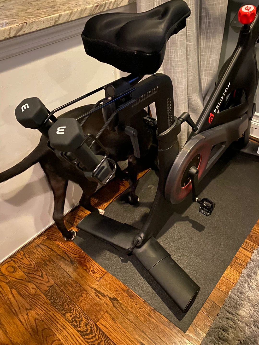 Peloton Bike - photo 2