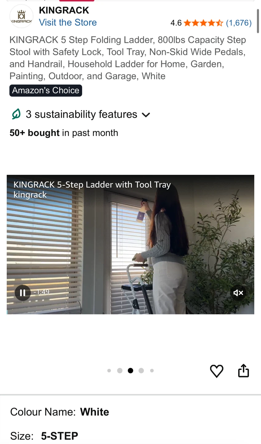 KINGRACK 5 Step Folding Ladder - photo 5