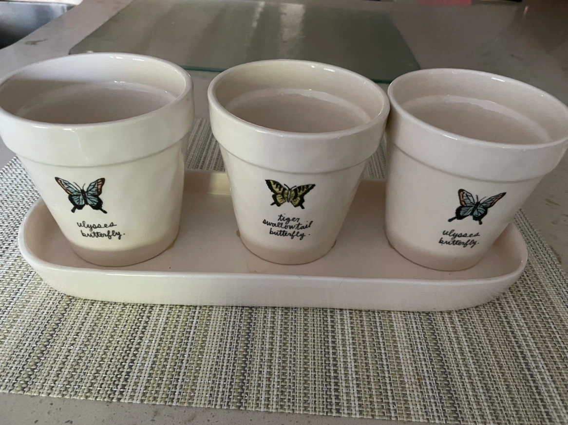 Rae Dunn "Artisan Collection" Planter Pots with Butterflies