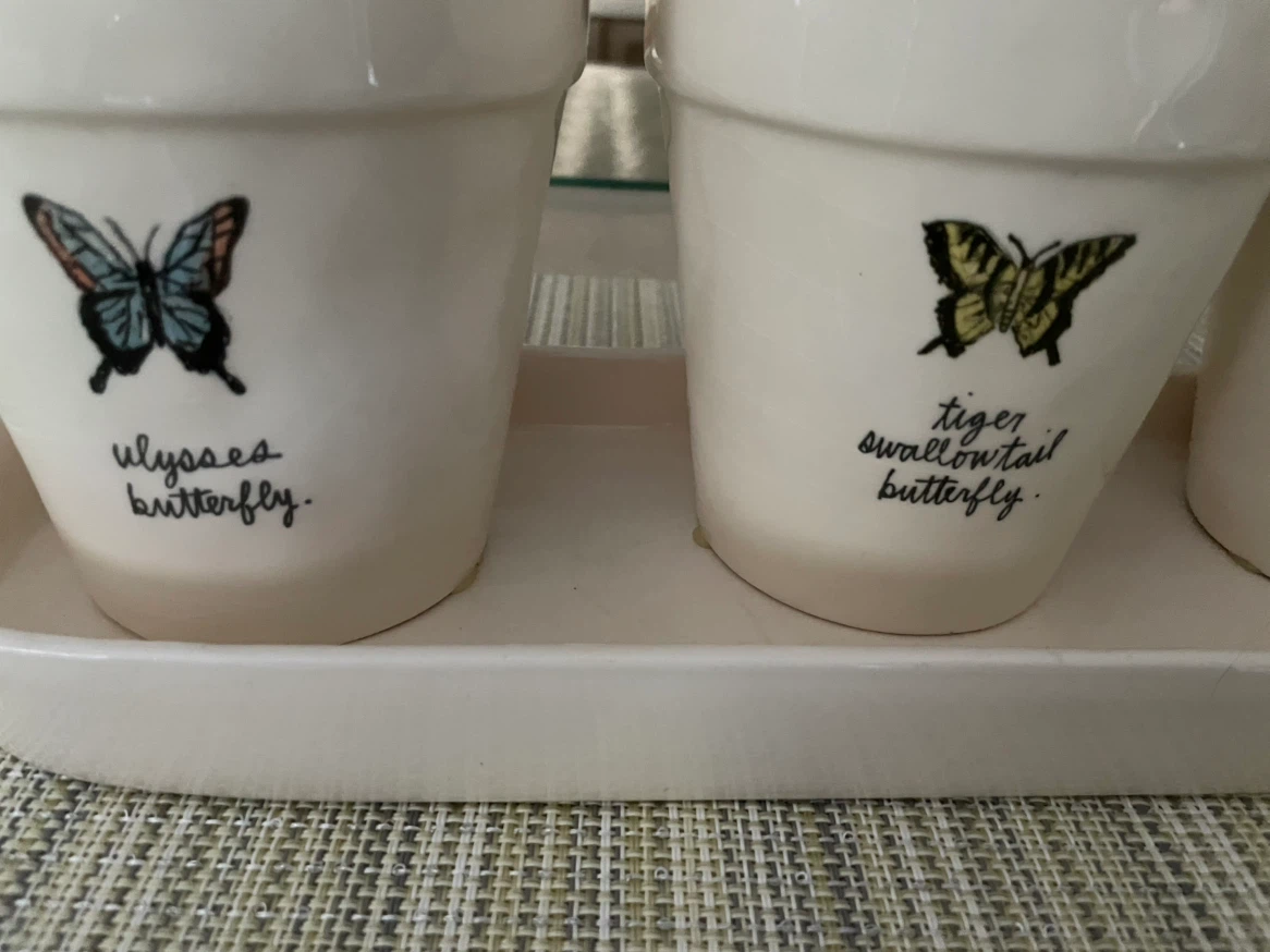 Rae Dunn "Artisan Collection" Planter Pots with Butterflies - photo 2
