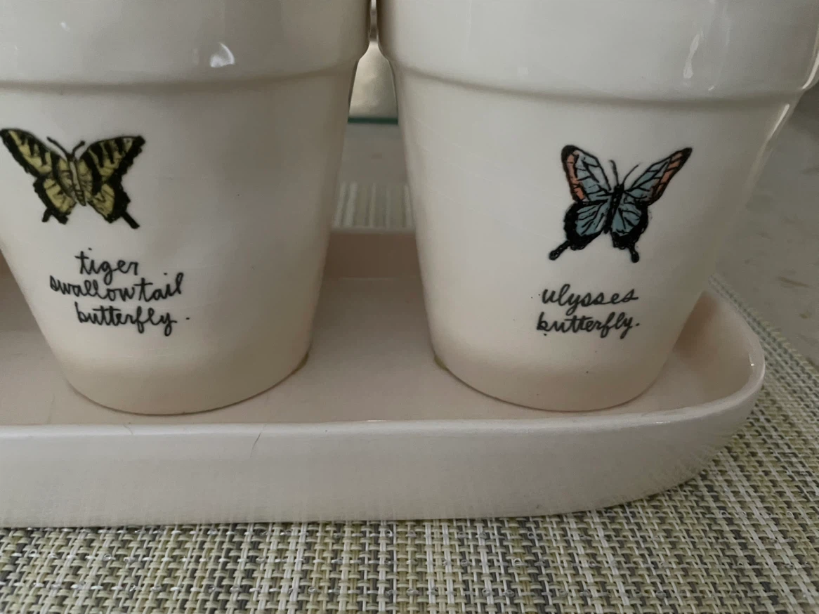 Rae Dunn "Artisan Collection" Planter Pots with Butterflies - photo 3