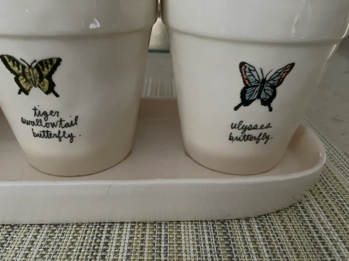 Rae Dunn "Artisan Collection" Planter Pots with Butterflies - photo 3