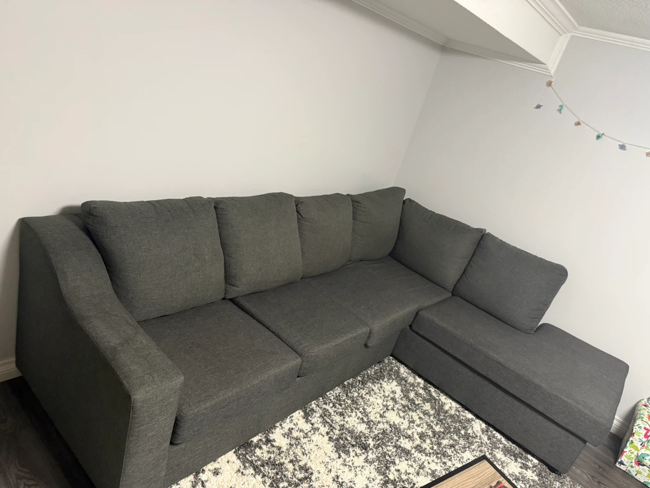 Sectional/L Shape Couch