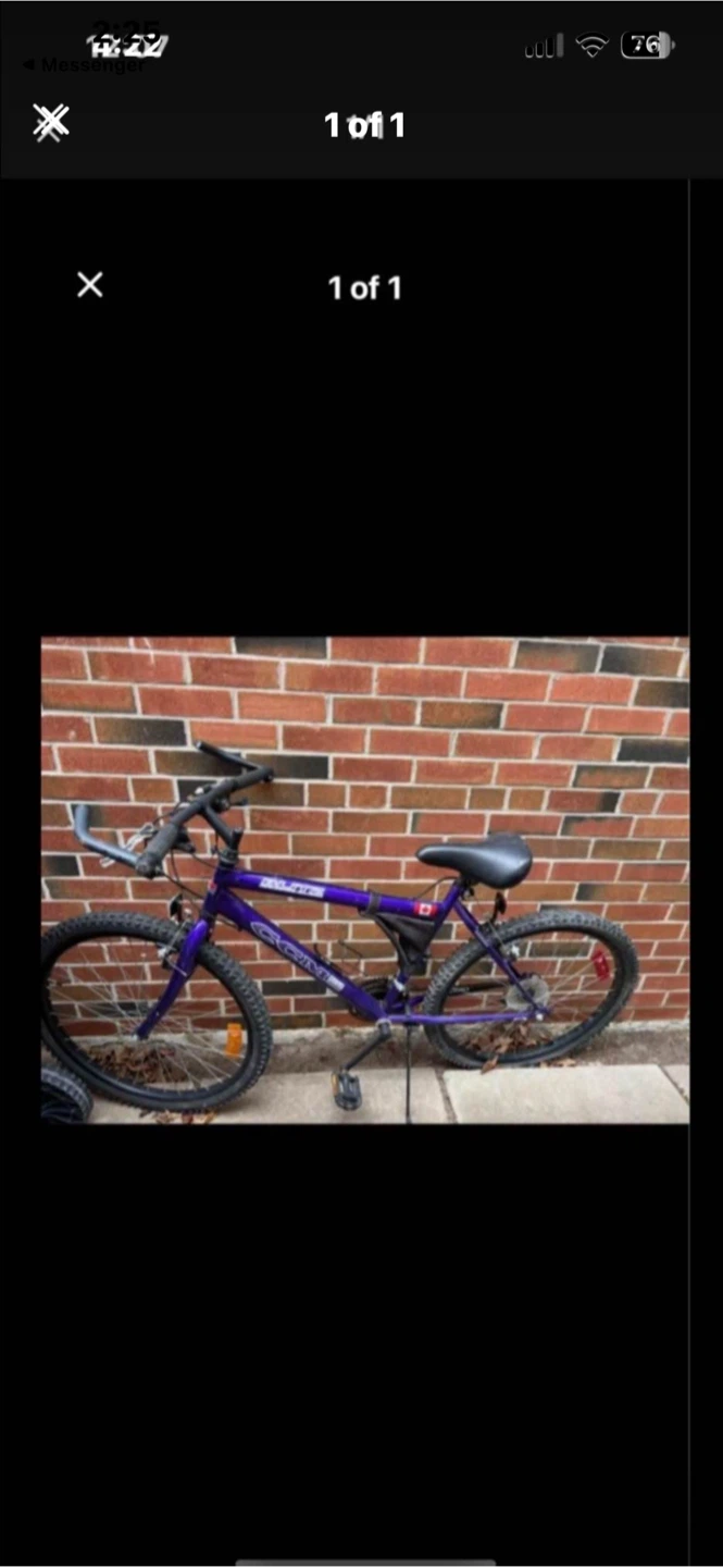 Purple Mountain Bike