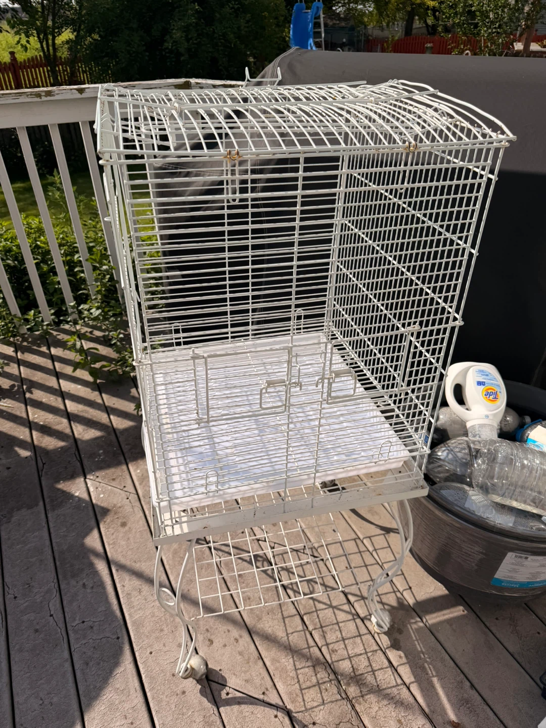 🐦 LARGE BIRD CAGE FOR SALE – GREAT DEAL! 🔥 - photo 3