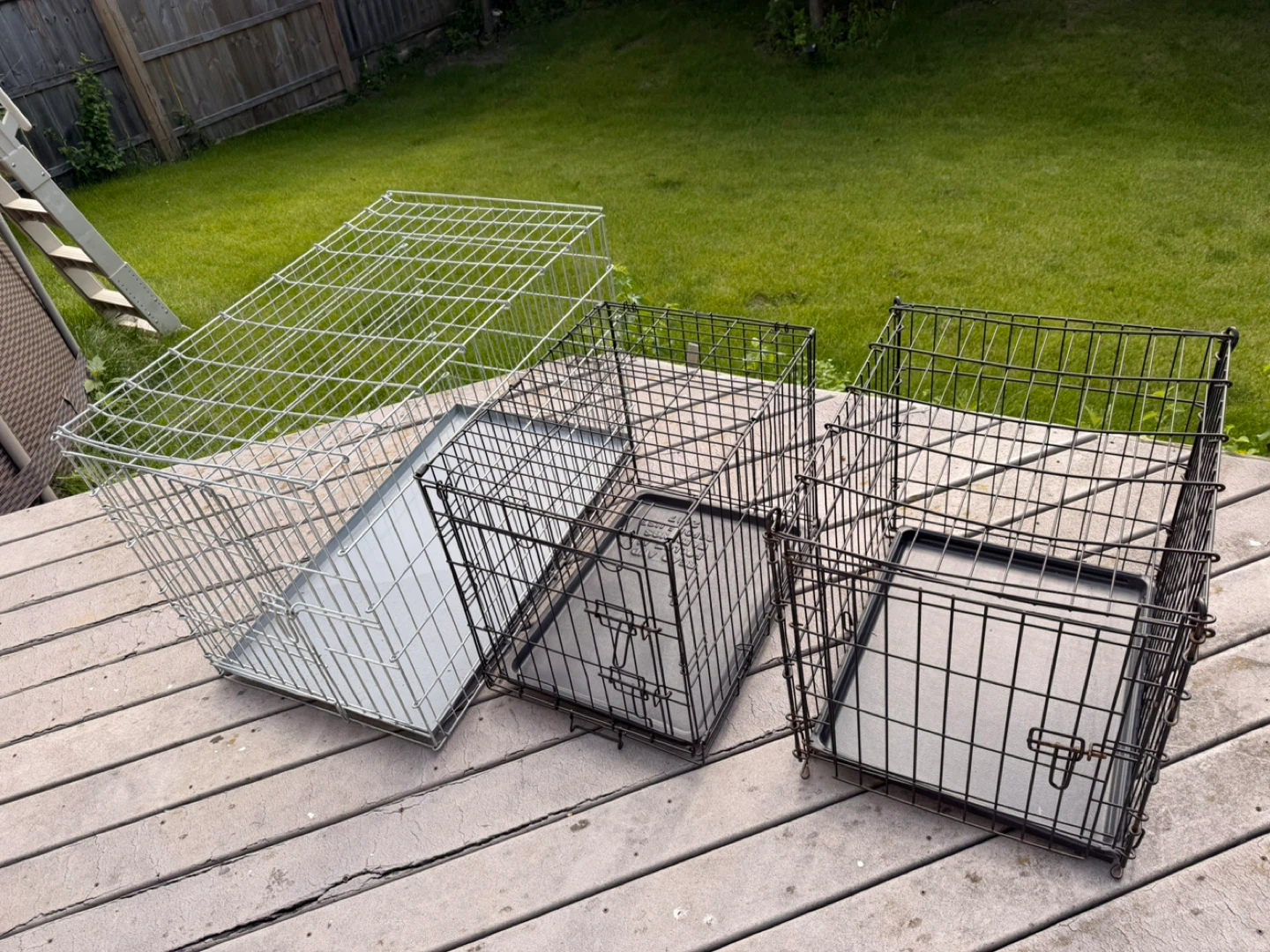 🚨 GREAT DEAL! DOG CRATES FOR SALE! 🐶🔥 - photo 4