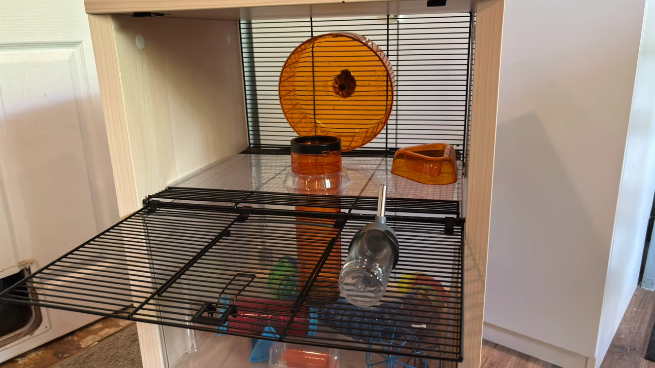 Qute hamster/ gerbil habitat with Accessories - photo 4
