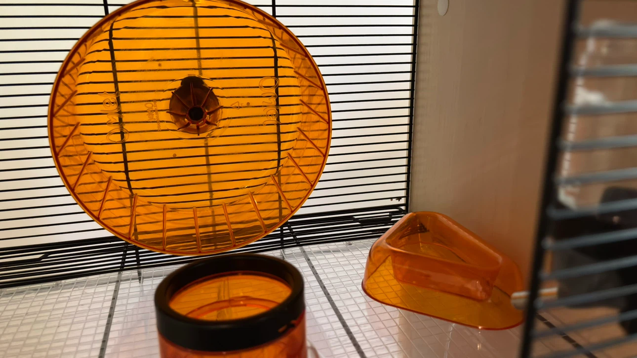 Qute hamster/ gerbil habitat with Accessories - photo 5