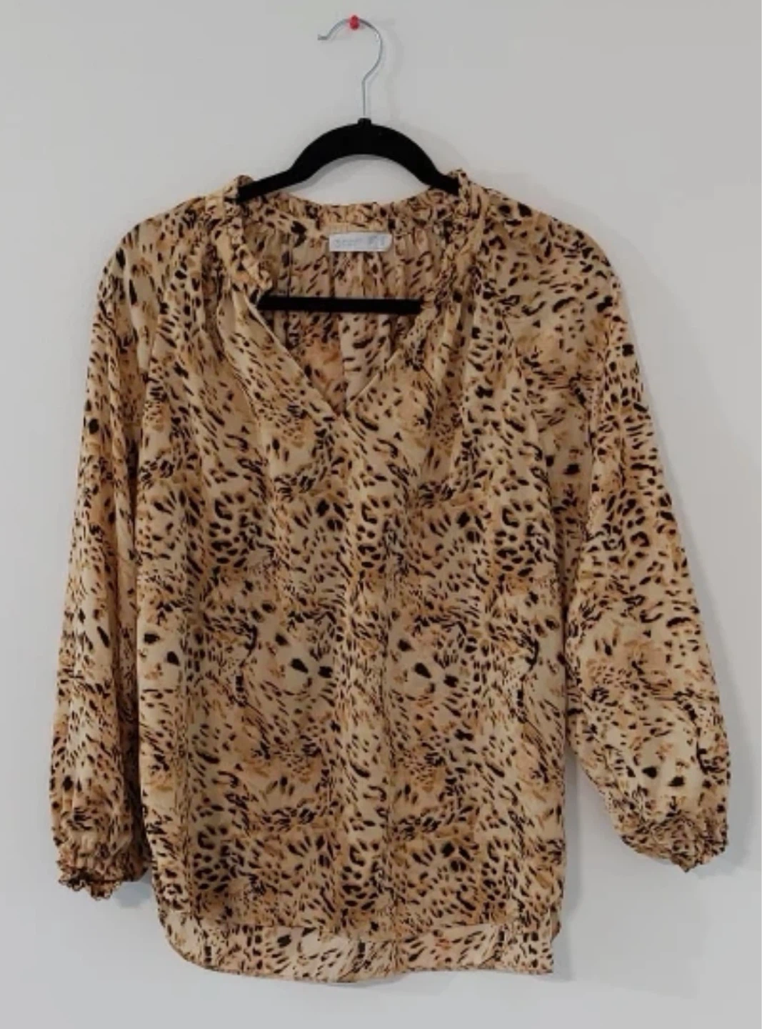 Leopard Print Long Sleeve Blouse