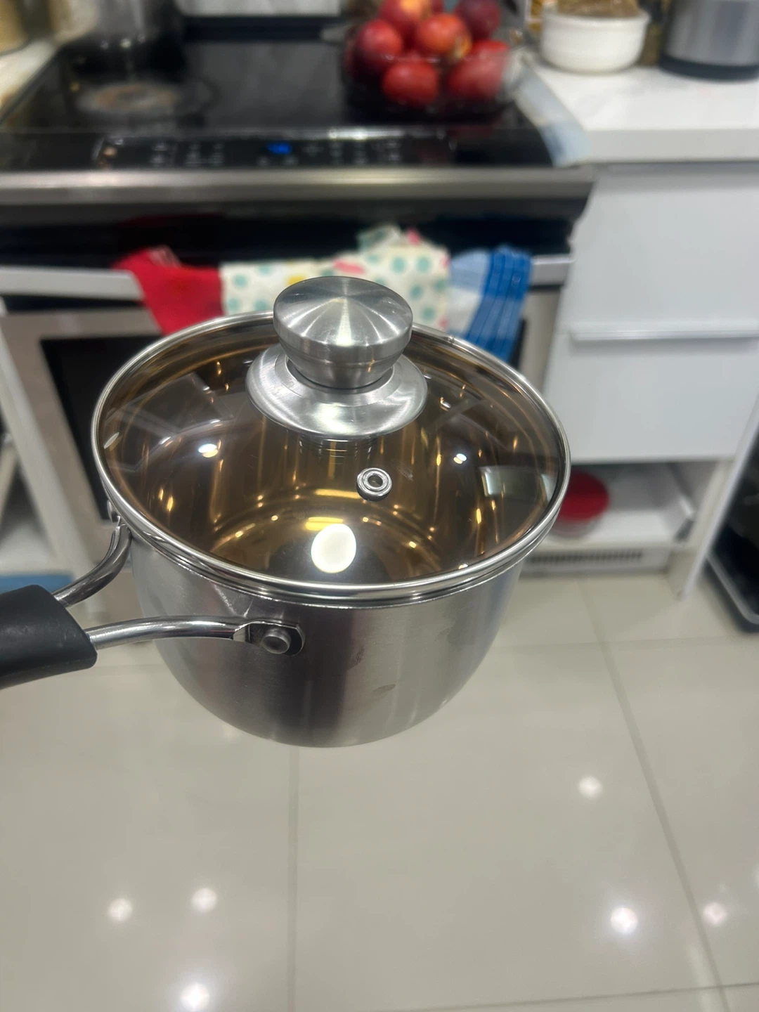NEW Stainless Steel Pot with Glass Lid