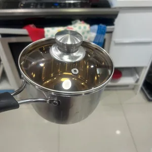 NEW Stainless Steel Pot with Glass Lid