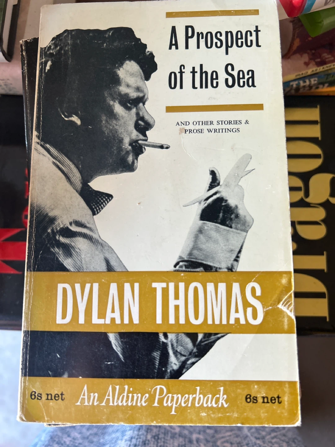 A Prospect of the Sea by Dylan Thomas