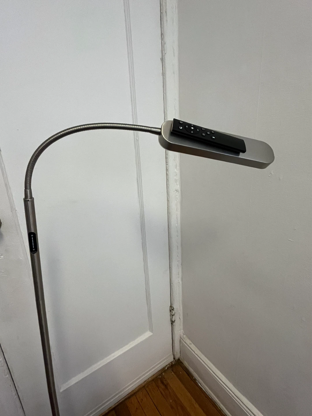 Adjustable Floor Lamp with Remote