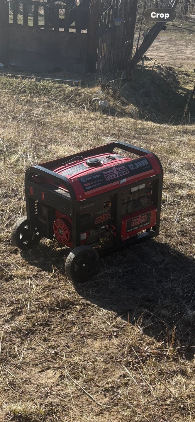 King Canada 12000W Dual Fuel Generator - photo 2