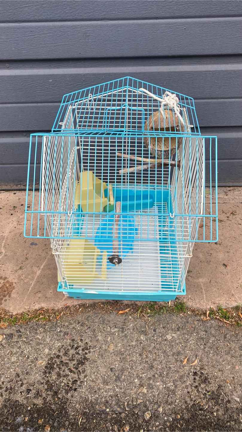 Blue and White Bird Cage with Accessories - photo 2