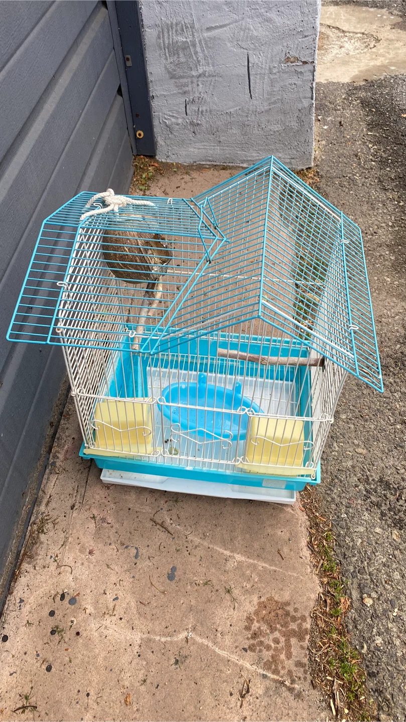 Blue and White Bird Cage with Accessories - photo 3