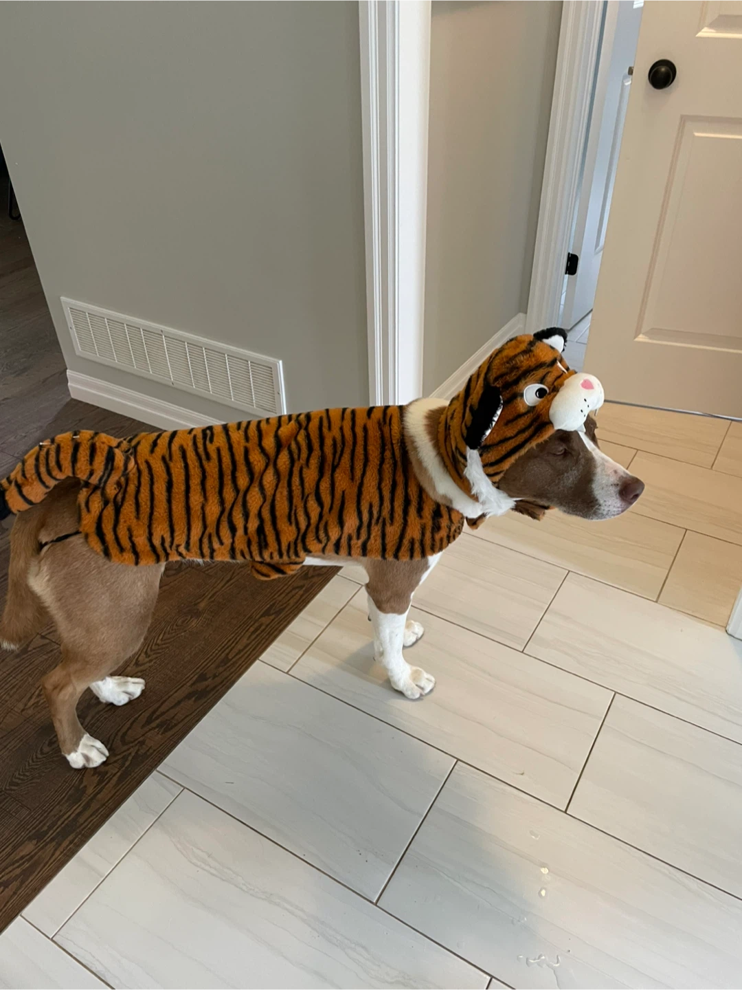 Tiger Costume for Pet - photo 2