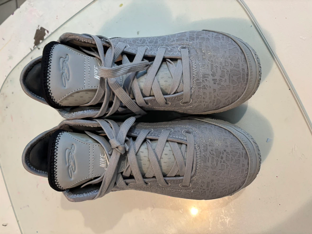 Nike Zoom LeBron NXXT Gen 'Wolf Grey'
